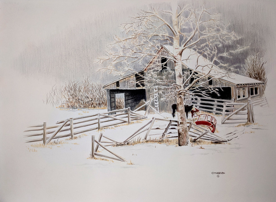Art Drawing: Driftwood Barn by Clare Hobson